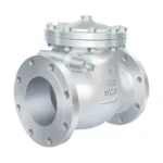 SS Sewing Non Return Valve Flange Type